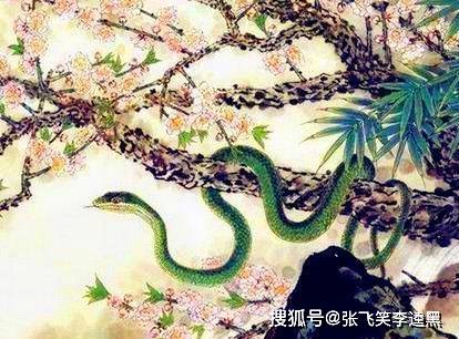 指鹿为马，達者馬師，刻不容緩競折枝打一准确生肖、警惕虚假宣传-全面释义、科学解答解释落实
