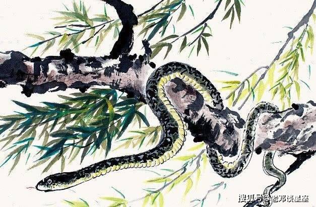 指鹿为马，達者馬師，刻不容緩競折枝打一准确生肖、警惕虚假宣传-全面释义、科学解答解释落实
